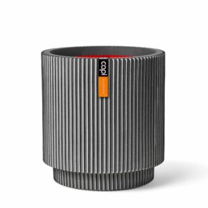 CAPI CILINDRO GRIGIO