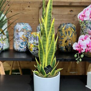 SANSEVIERA ARTIFICIALE H.70