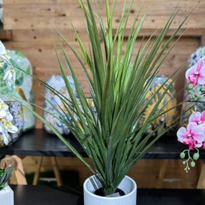 PIANTA DI YUCCA H.90