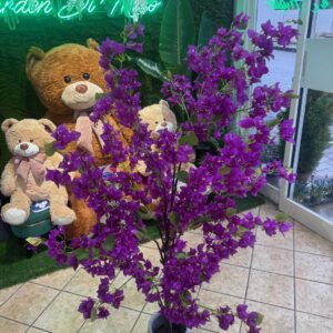 PIANTA BOUGANVILLA VIOLA