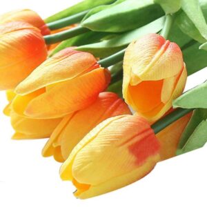 TULIPANI GIALLO E ARANCIO