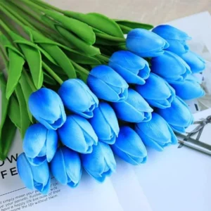 TULIPANI AZZURRI