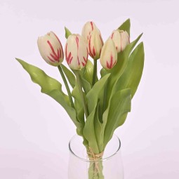 TULIPANI BIANCO E ROSSO